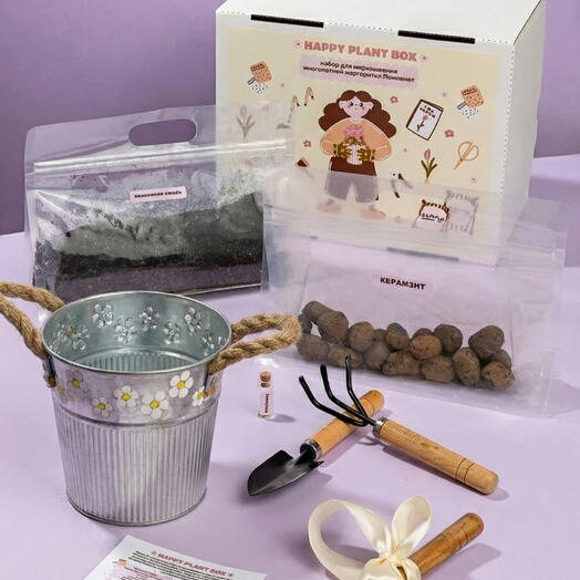 Набор HAPPY PLANT BOX для выращивания растения маргаритки Помпонет