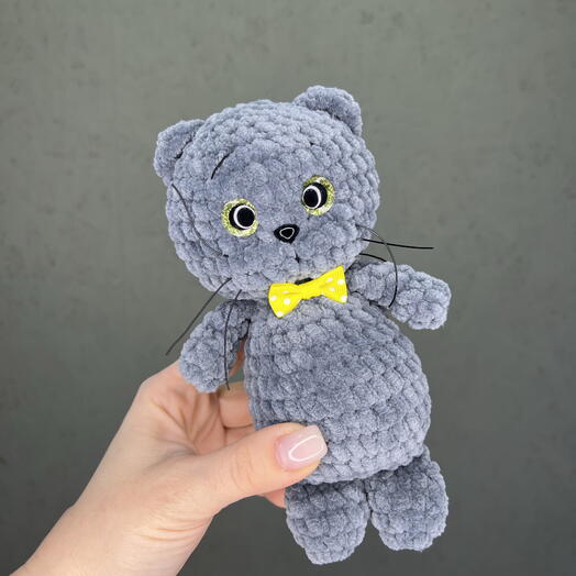 Серый котик