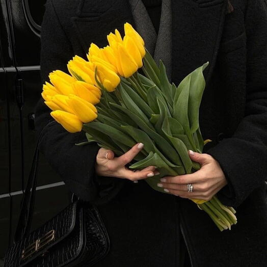 Желтые тюльпаны 💛