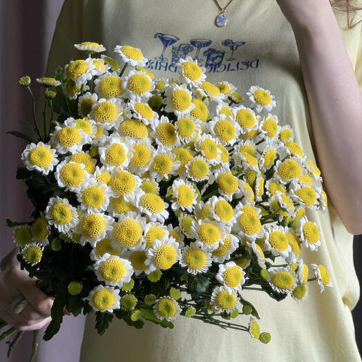 🌼Букет 11 ромашек хризантем Сантини (сан ап). Цветы в подарок женщине, любимой девушке, жене, маме, дочке