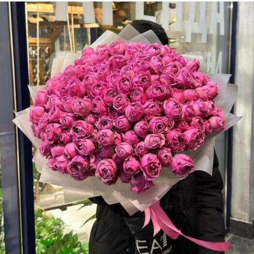 51 Misty Bubbles Peony Rose