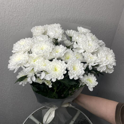 хризантема кустовая 5 штук💕