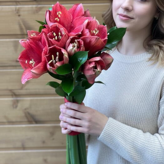 Букет из 3 Амариллисов