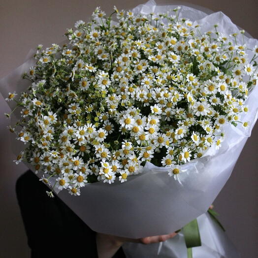 Букет из кустовых ромашек