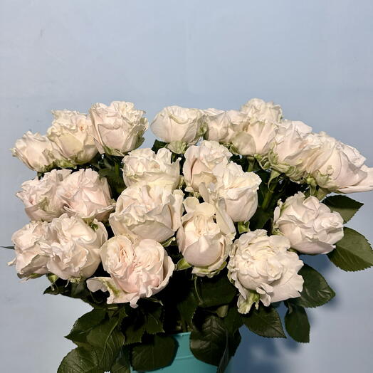 Белые розы 9