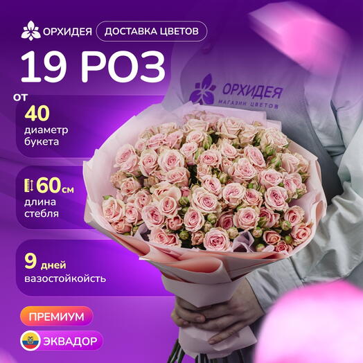 19 кустовых роз Вега