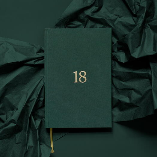 Книга Твои 18 ЛЕС