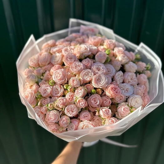 Кремовые пионовидные кустовые Бомбастик️