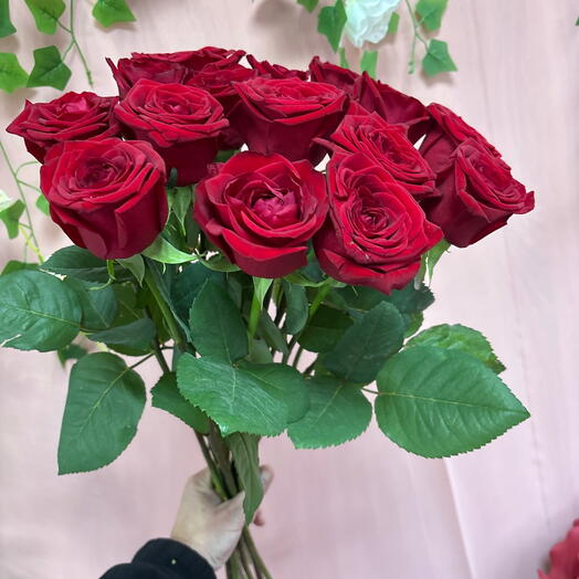 Роза красная 15 шт