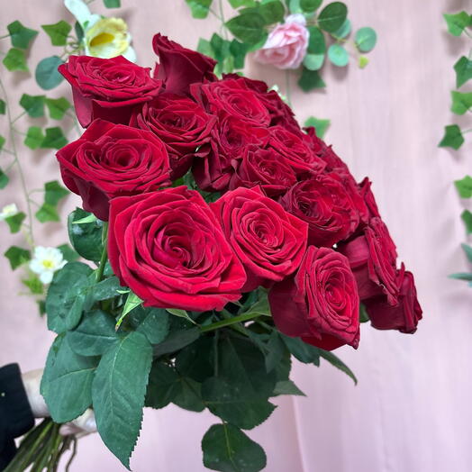 Розы красные 25 шт