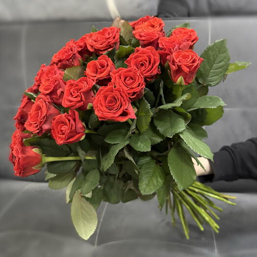 Роза Ажурная Эльторо 31