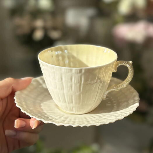 Чайная пара Belleek