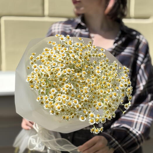 Букет ромашек🌸