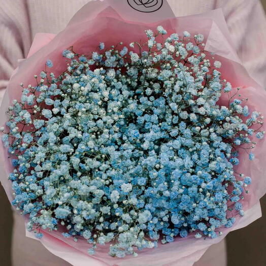 Bouquet of 7 blue gypsophila flowers in a blue film