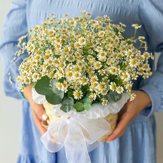 Летние ромашки с лукошке