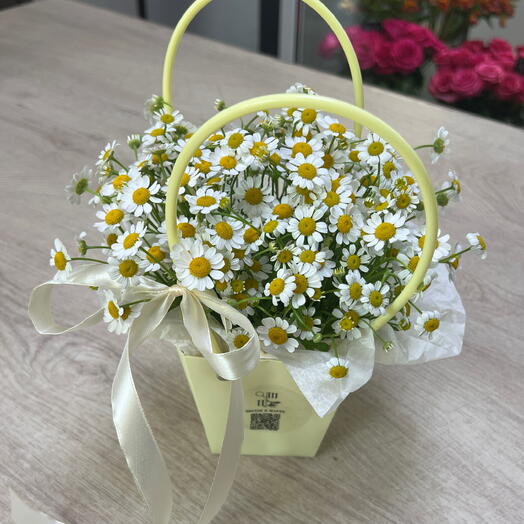 Сумка с ромашками кустовыми 💛