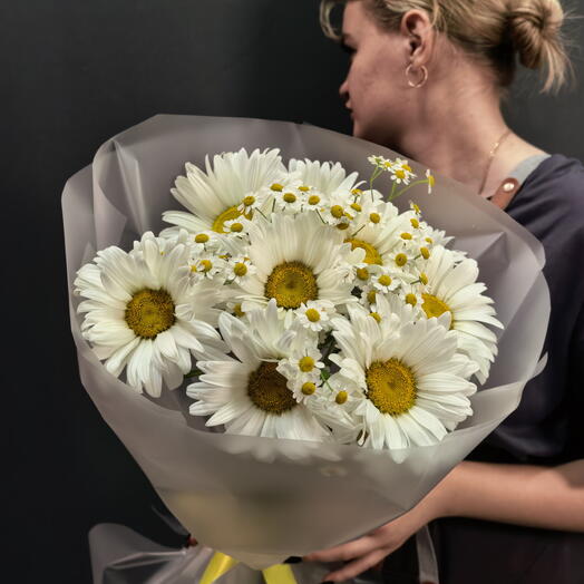 Ромашки 🌼