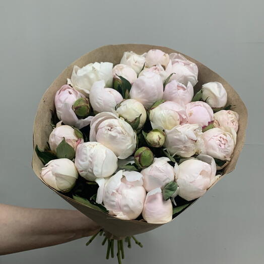 Банч пионов Duchesse de Nemours — 25 шт