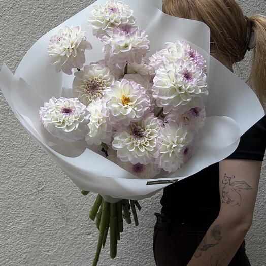 Mono Dahlias