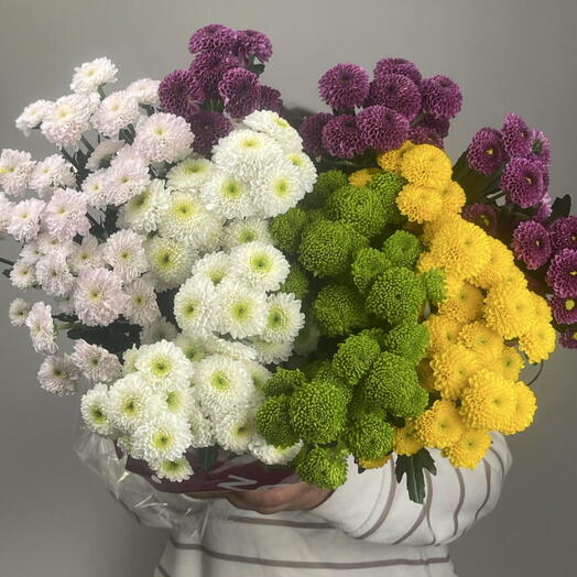 Пачка Хризантема Pompon Grem Bs микс (25шт)