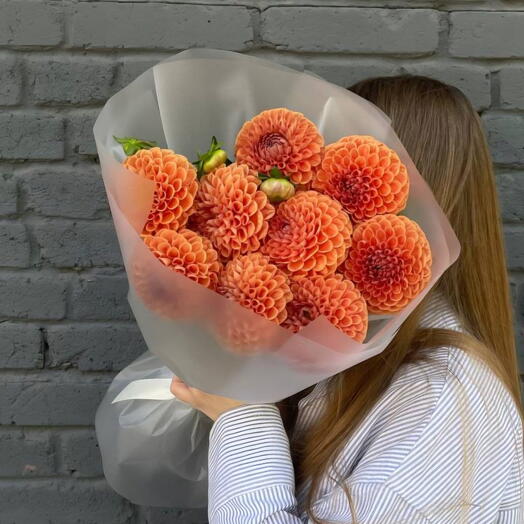 Георгины Оранжевые 9 штук