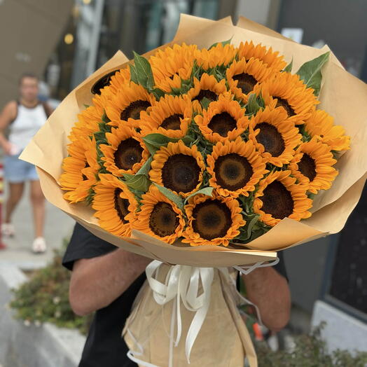 подсолнечник Sunflowers