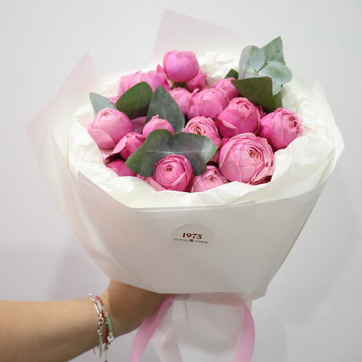 Spray rosess