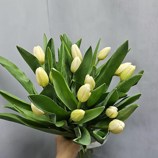 Букет из белых тюльпанов 15