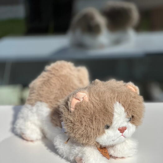 Мягкая игрушка "Котик"