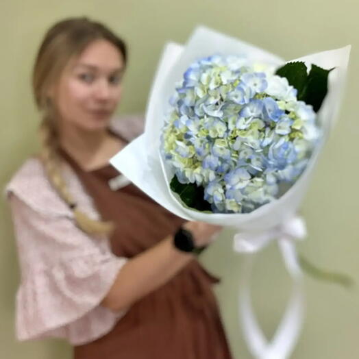 Букет из 1 шт. Голубой гортензии