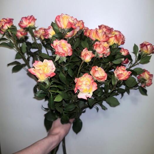 Монобукет из 5 ярких кустовых роз