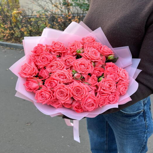 Rosas arbustivas Barbados 9 piezas