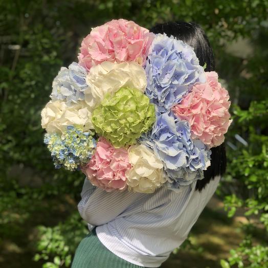 A bouquet of hydrangeas