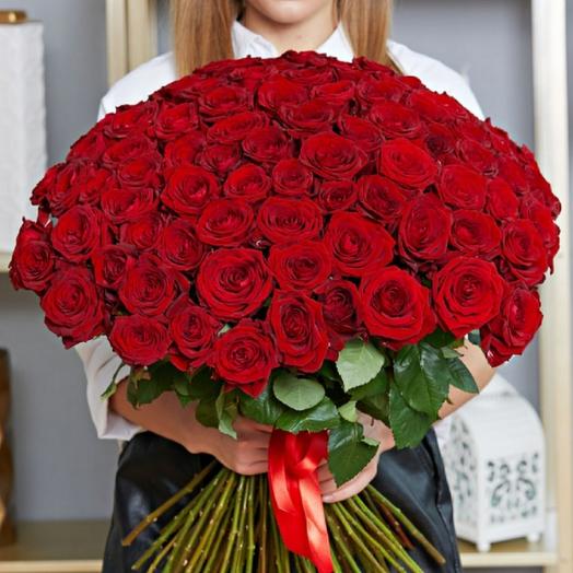 Rosa fragante