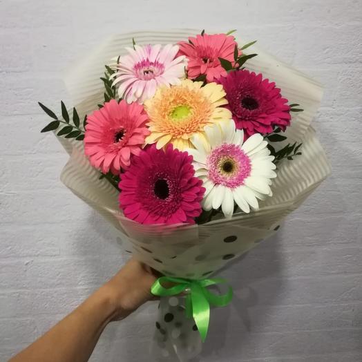 Gerbera