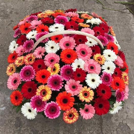 Gerberas in the basket