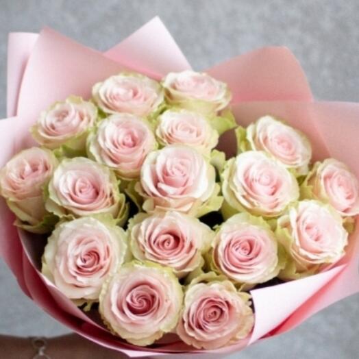 Rosa Frutteta