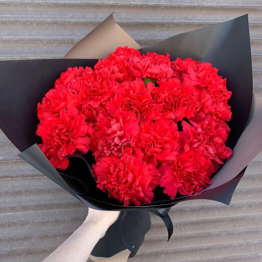 Red carnation 20pcs