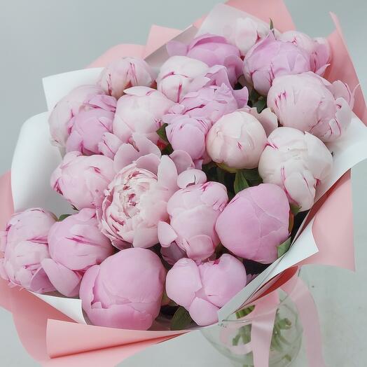 21 peonía rosa Sarah Bernard