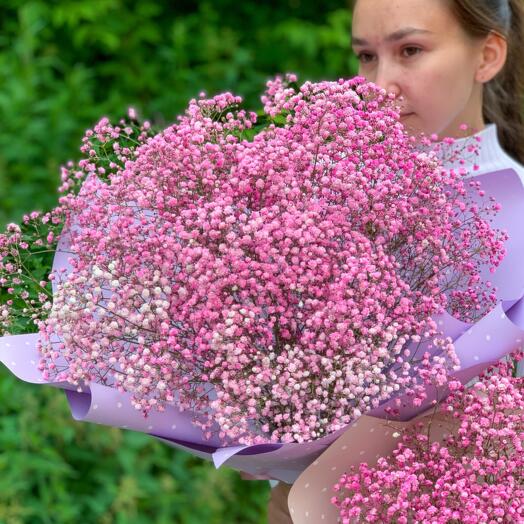 Bouquet of Pink Gypsophila