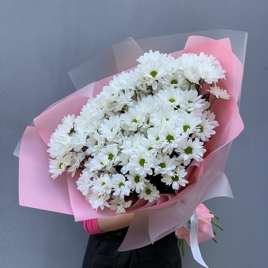 Bouquet Of Snow-White Chrysanthemums