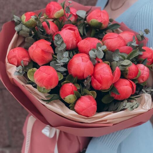 Пионы