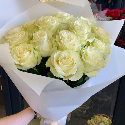 15 elegantes 🤩 rosas Blancas