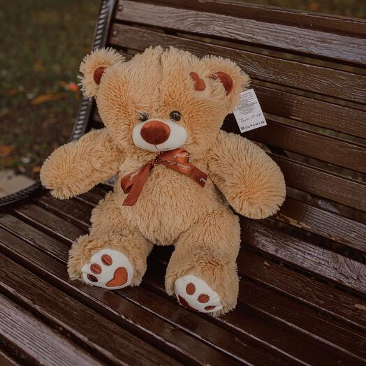 Teddy's Stuffed toy
