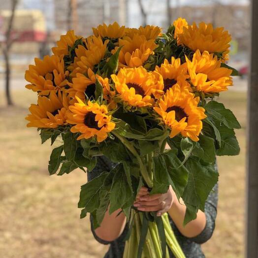 Lots of sunflowers