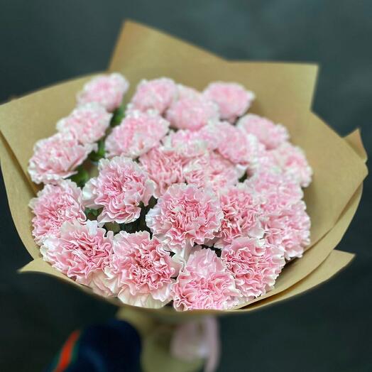 Pink Carnation 23pcs