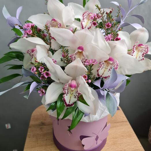 Composición De Orquídeas