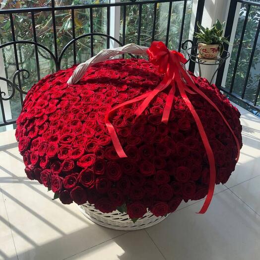 Корзина из 501 красной розы «Ты моя♥️целая Вселенная»