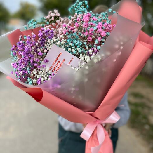 Rainbow gypsophila Monobook