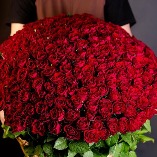 251 Ruby Roses in a Basket
